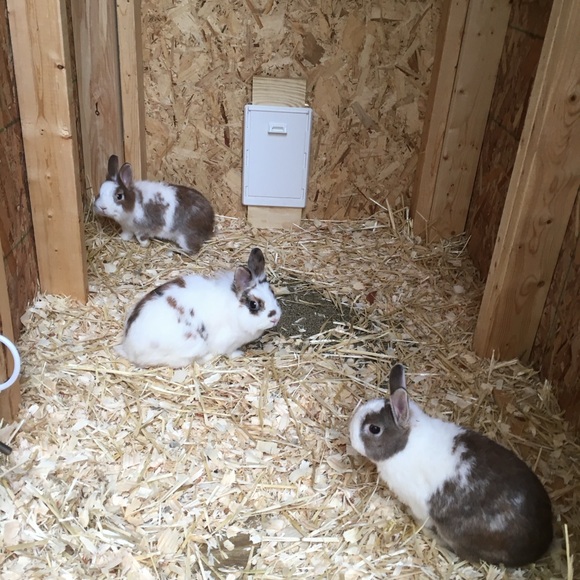 Hop on in for Added Discounts! - Picture 10 of 16